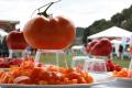 About Tomato Fest